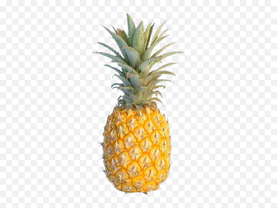 Pineapple Png Photo Arts - Fruits And Vegetables Single,Pinapple Png
