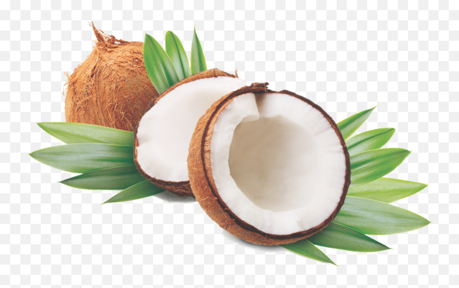 Niharti - The Joys Of Coconut Oil Png Image Of Coconut Oil,Coconut Png