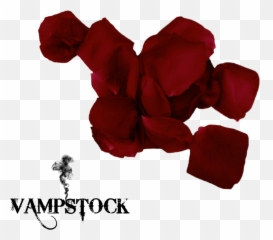Download Hd Red Black Rose Petals Png - Single