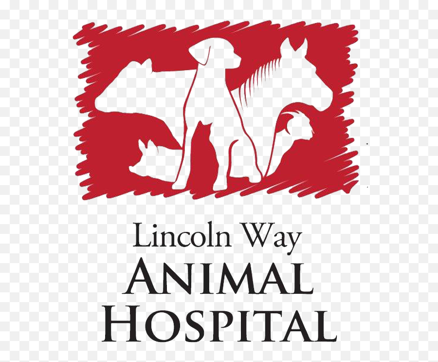 Home Veterinarian In Upper Sandusky Oh Lincoln Way - Lincoln Way Animal Hospital Png,Animal Logo