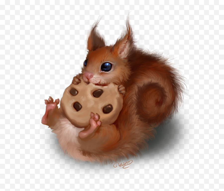 Download Explore Red Squirrel Clipart Images And More - Squirrel Transparent Png Draw,Squirrel Transparent Background