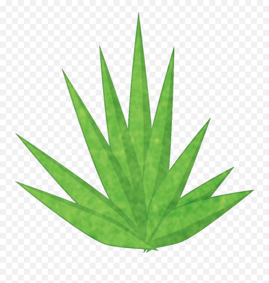 Yucca Plant Png - Graphics,Yucca Png