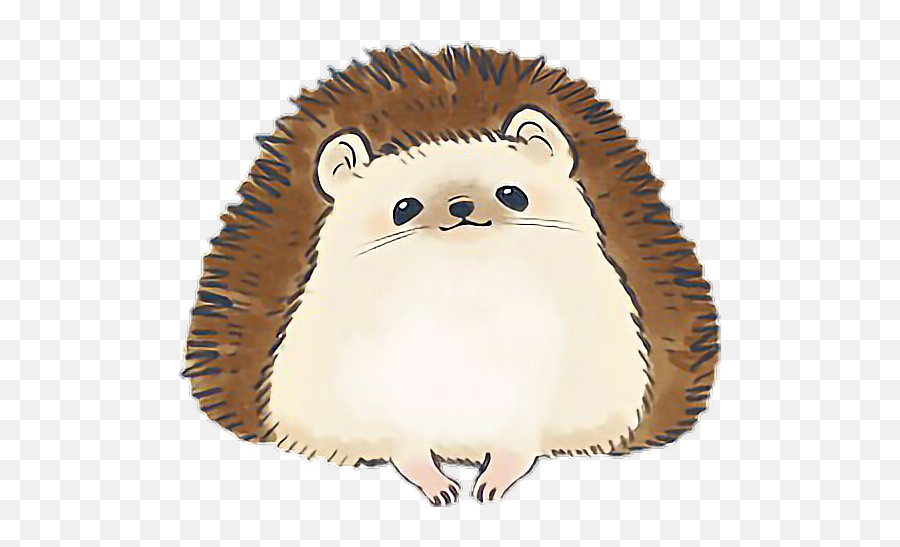 Animals Cute Hedgehog Sticker By Curlic - Himalayan Png,Hedgehog Transparent