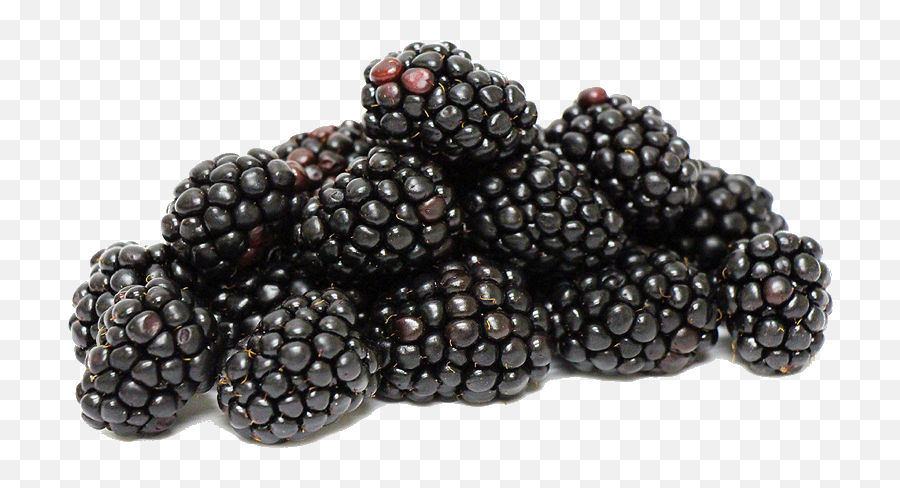 Blackberries - Blackberry Black Coloured Food Clip Art Fruit Blackberry Png,Blackberries Png