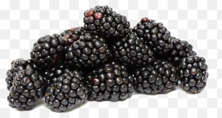Blackberries - Blackberry Black Coloured Food Clip Art Fruit Blackberry Png,Blackberries Png