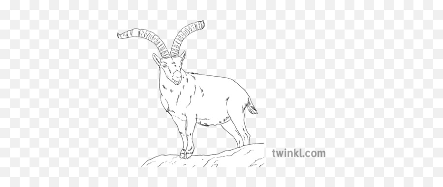 Montes Goat Cabra Animal Bucardo Horns Mammal Mps Ks2 Bw Rgb - Feral Goat Png,Goat Horns Png