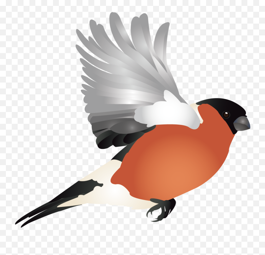 Finch Hummingbird Woodpecker Illustration - Vector Cute Bird Ucan Leylek Gf Png,Woodpecker Png