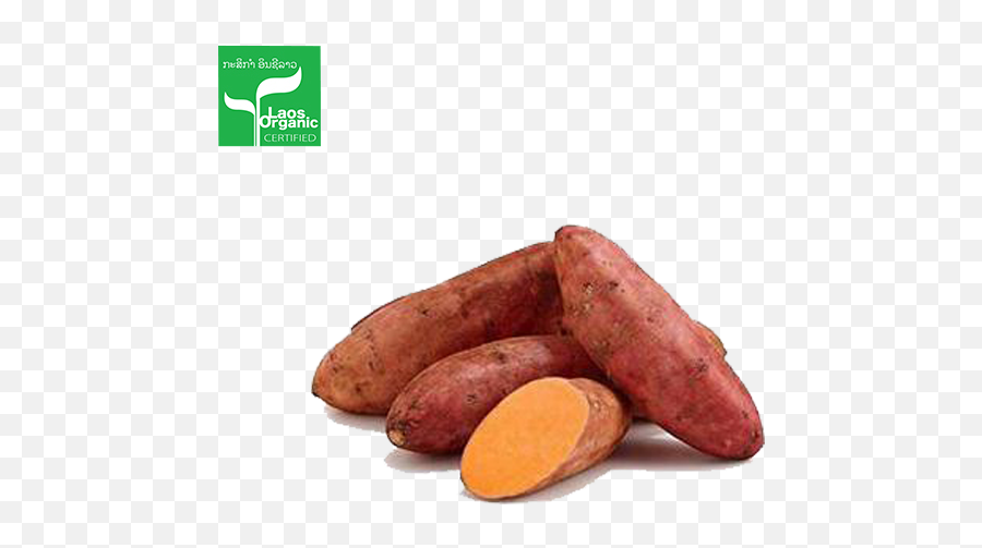 Organic Sweet Potato 05kg - Sweet Potato Egypt Png,Yam Png