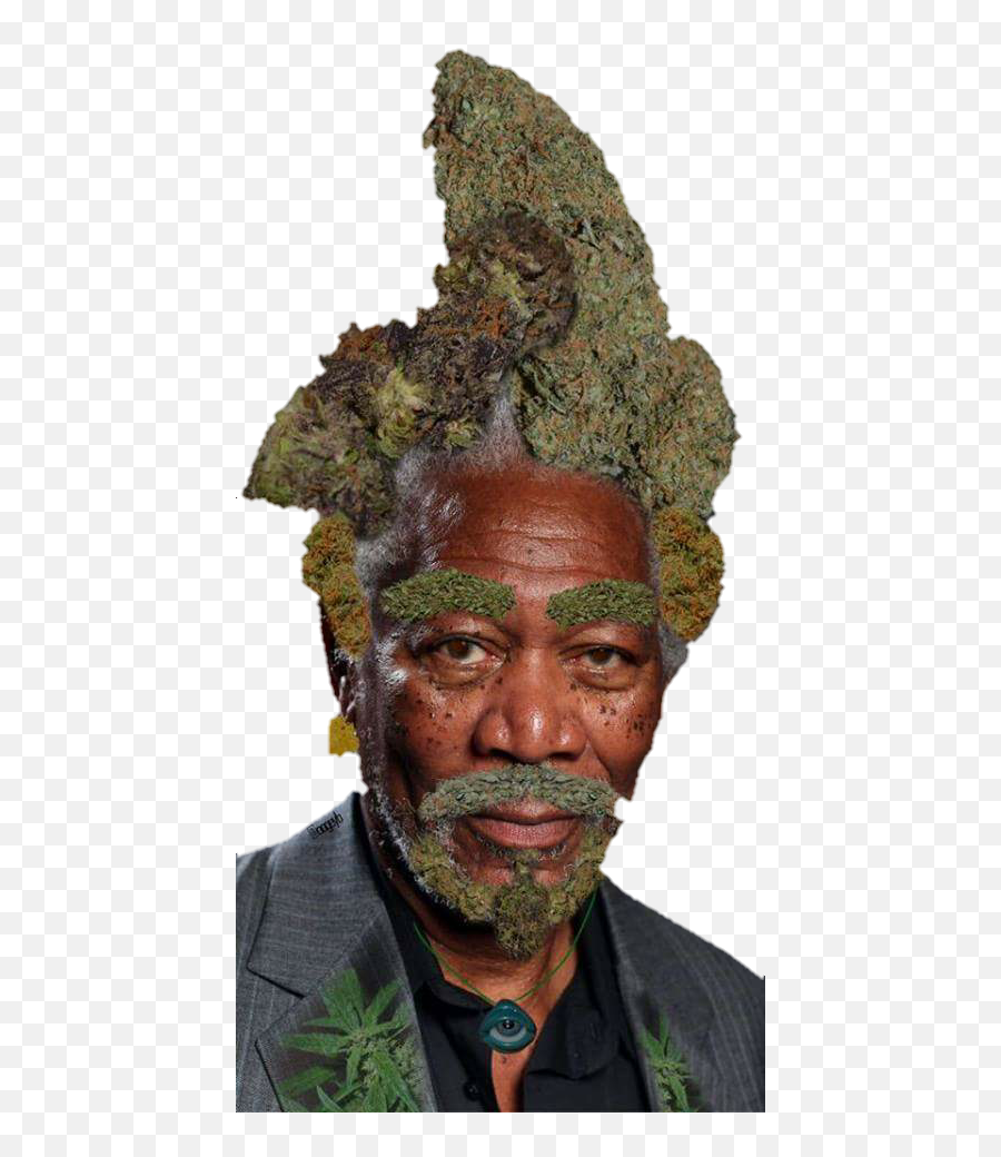 Youu0027re Always A Drug User When Loser - Morgan Freeman Weed Meme Png,Weed Png