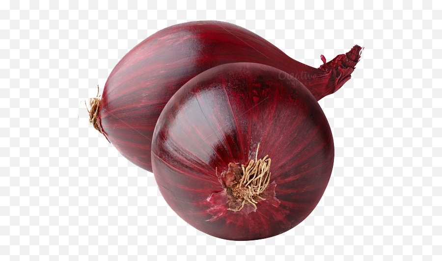 Download Red Onion Png Image - Png Image Red Onion,Onion Png