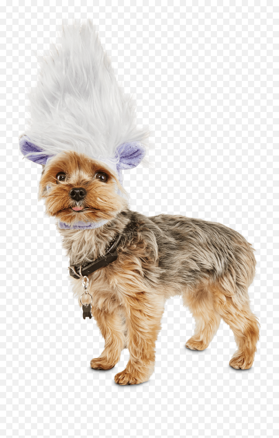 Trolls Guy Diamond Headpiece Small - Trolls Dog Costume Png,Troll Face Facebook Icon