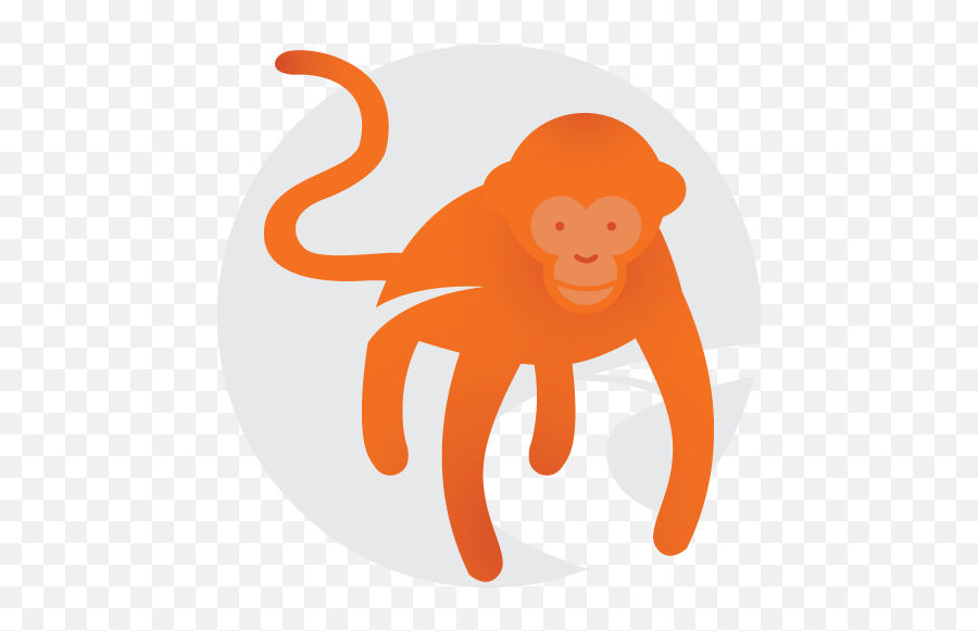 App Development - Razor Edge Media Ltd Animal Figure Png,App Development Icon