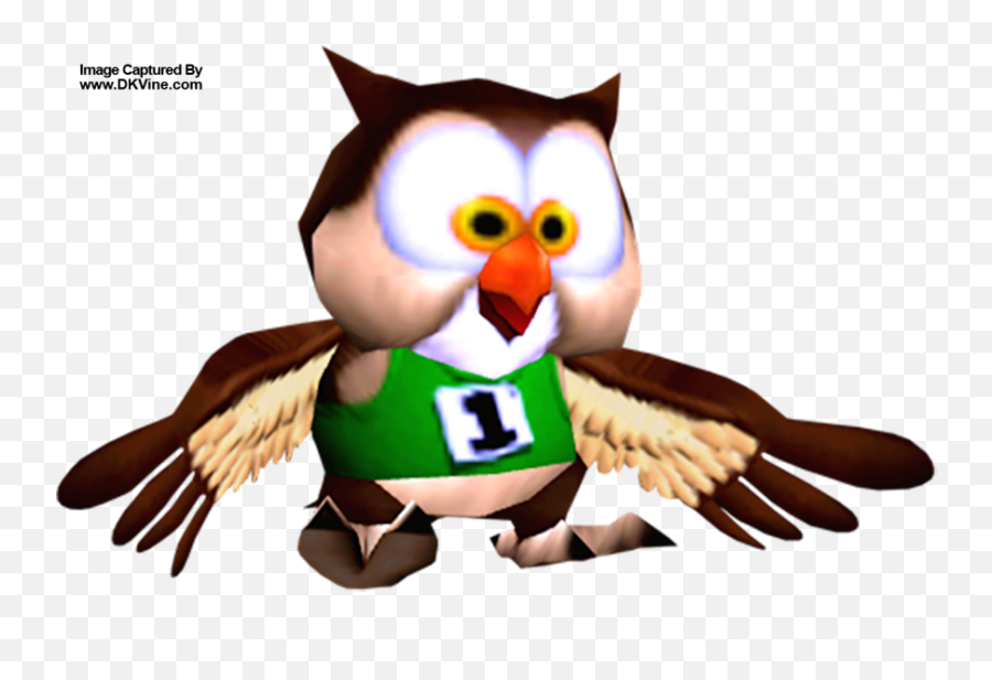 Remember The Diddy Kong Racing U Rumor This Is Too Strange - Owl Donkey Kong 64 Png,Donkey Kong Tropical Freeze Dk Icon
