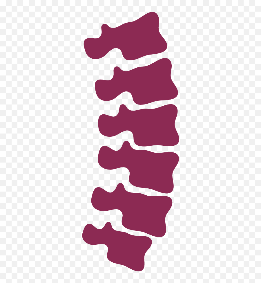 Chiropractic - Spine Icon Clipart Full Size Clipart Spine Symbol Png,Icon Chiropractic