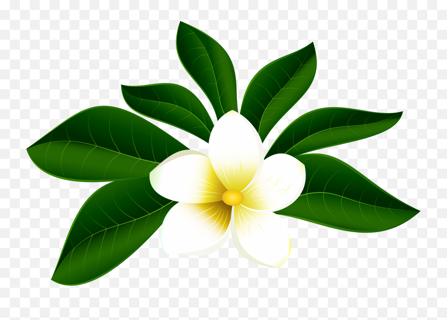 Tropical Flower Png Clipart - Clipart Tropical Flowers Png,Hawaiian Flowers Png