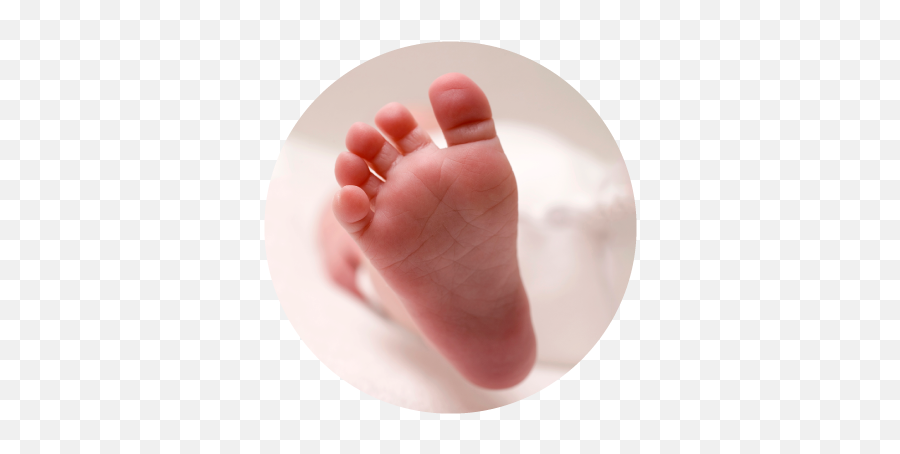 Feet 101 - Toes Png,Toe Png