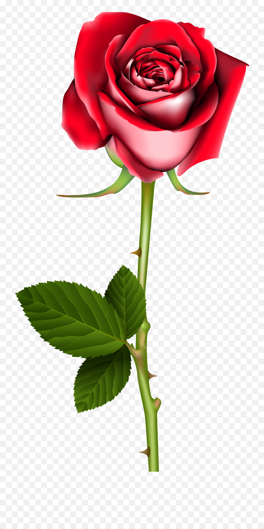 Rose Flower Png - Rose Pic Art Png,Beauty And The Beast Rose Png