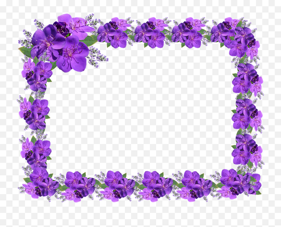 Download Purple Border - Moldura Lilas Em Png Png Image With Love Video Frame Png,Purple Border Png