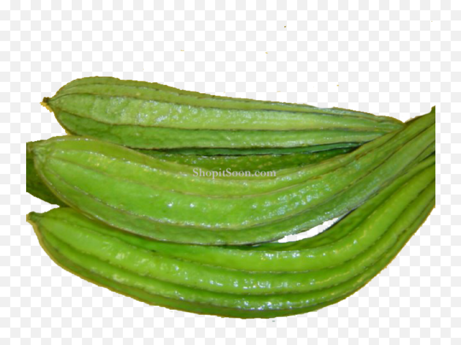 Ridge Gourd Png 2 Image - Ridge Gourd Png,Gourd Png