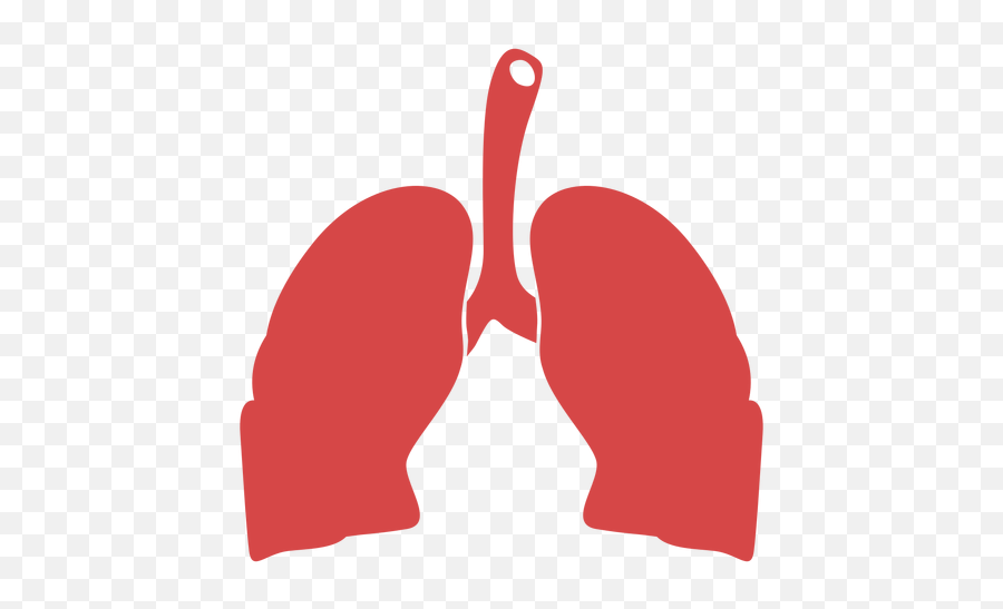 Transparent Png Svg Vector File - Ibis,Lungs Png