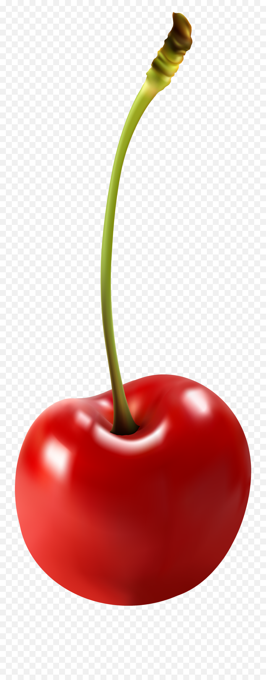 Cherry Clipart Transparent Pencil And In Color Png