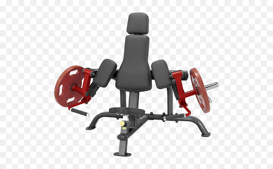 Plateload Bicep Curl - Bicep Plate Loaded Curl Png,Bicep Png