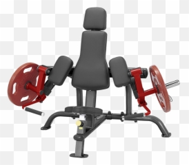 Plateload Bicep Curl - Bicep Plate Loaded Curl Png,Bicep Png
