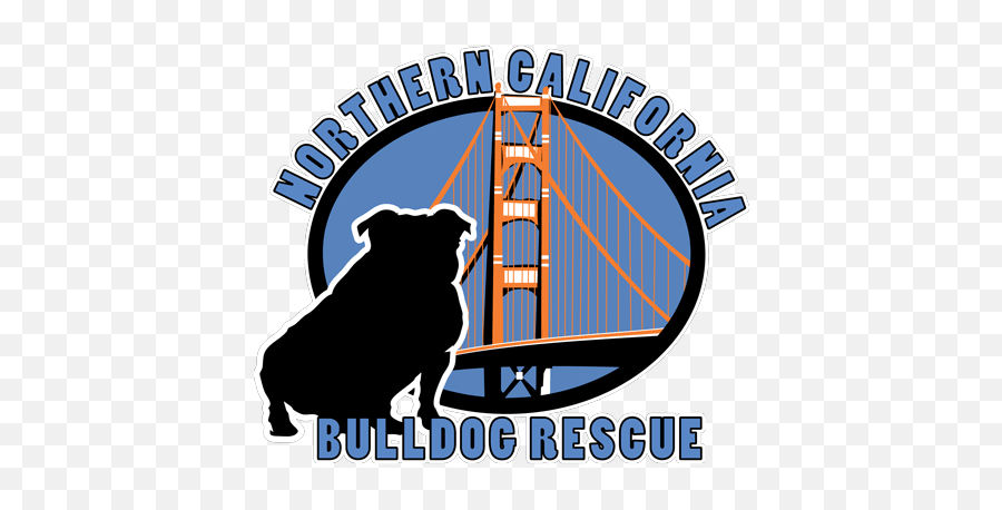 Norcal Bulldog Rescue Help Us English Bulldogs - Dog Png,Bulldog Transparent
