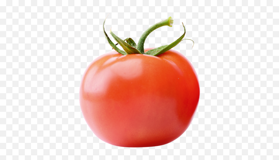 Png Transparent Tomato Clipart - Transparent Background Tomaat Png,Tomato Png