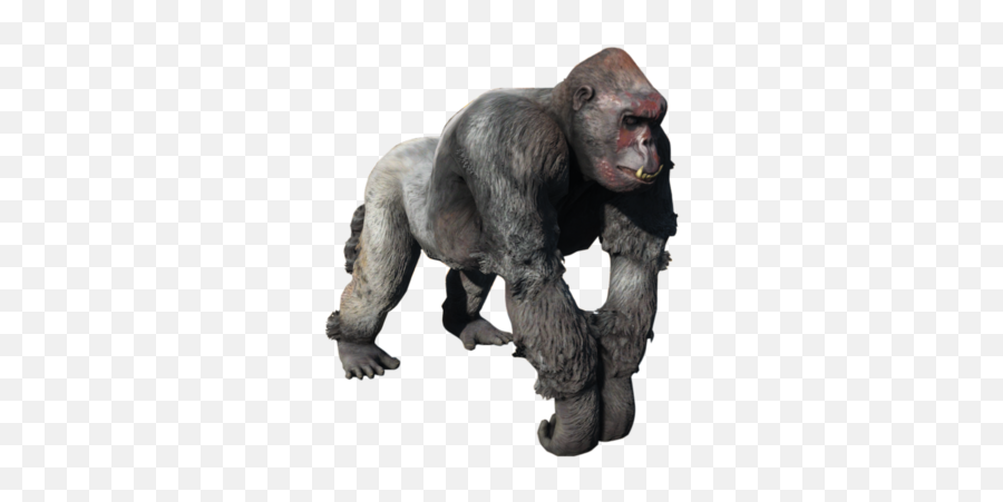 Gorilla Fallout Wiki Fandom - Fallout Gorilla Png,Gorilla Transparent Background