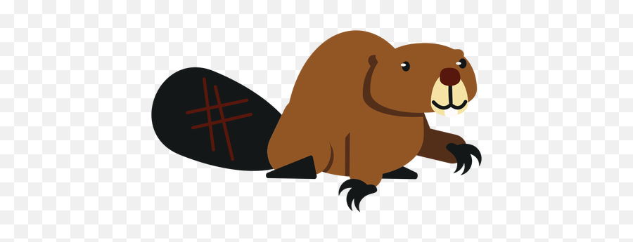 Beaver Fat Tail Rodent Claw Rounded Flat - Transparent Png Beaver Transparent,Beaver Png