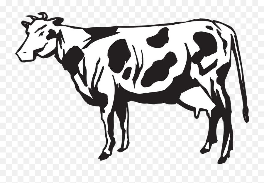 Download Dairy Cows Vector Graphics - Herd Of Cattle Clipart Herd Of Cows Cartoon Png,Cow Clipart Png