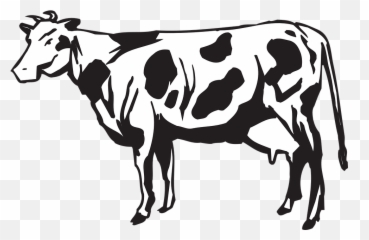Download Dairy Cows Vector Graphics - Herd Of Cattle Clipart Herd Of Cows Cartoon Png,Cow Clipart Png