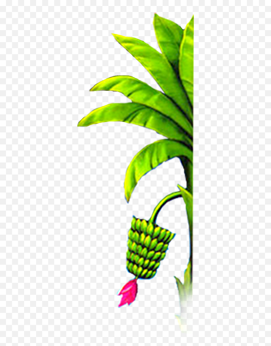 Banana Tree Design Elements Free Png - Marriage Wedding Banana Tree Png,Banana Tree Png