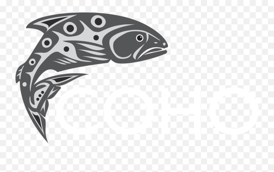 Connect Hotel Services - Trout Clipart Full Size Clipart Salmonids Png,Trout Png
