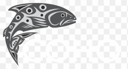 Connect Hotel Services - Trout Clipart Full Size Clipart Salmonids Png,Trout Png