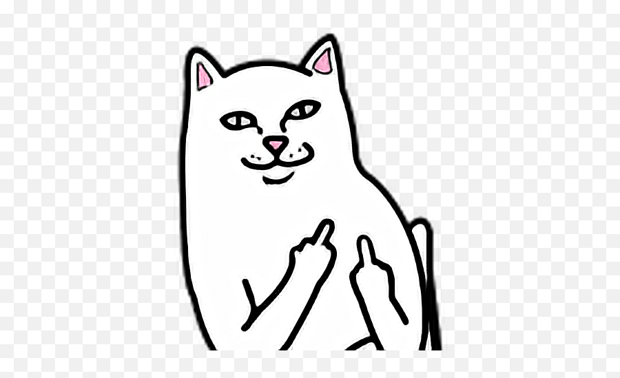 Cat Fuck You Fuckyou - Middle Finger Cat Png 1024x1024 Middle Finger Cat Png,White Cat Png