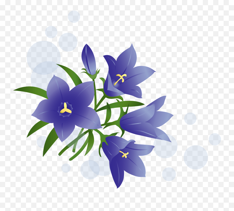 Japanese Gentian Flower Clipart Free Download Transparent Png