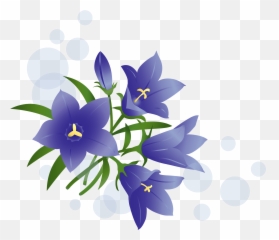 Japanese Gentian Flower Clipart Free Download Transparent Png