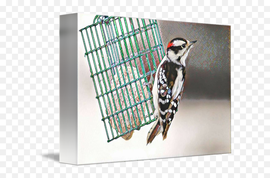 Mosaic Downy Woodpecker - Downy Woodpecker Png,Woodpecker Png