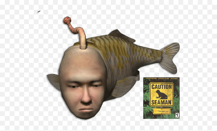 Caution Seaman Dreamcast Sega - Video Game Fish Png,Dreamcast Png