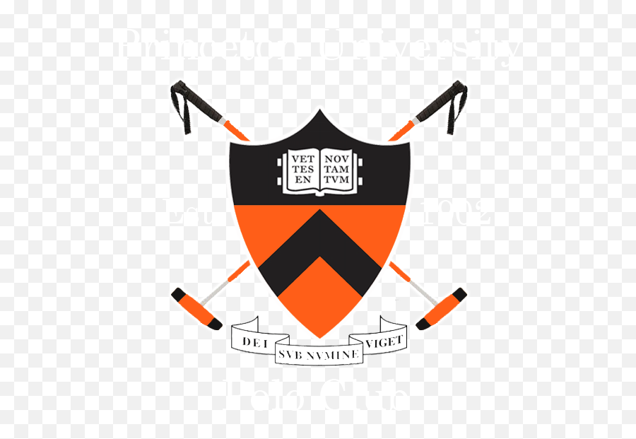 Princeton University Tiger Logo Png - High Resolution Princeton University Logo,Princeton Logo Png