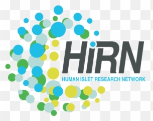 Logos Hirn - Human Islet Research Network png