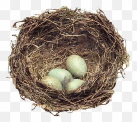 Angel Png Tumblr Posts - Tumbralcom Nid Png,Nest Png