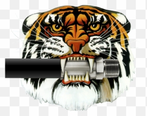Tiger Oil Products Colliflowertigeroilcom Png Bengal Icon