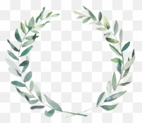 Download Free Png Olive Branch Wedding Invitation Watercolor - Branch Png Transparent