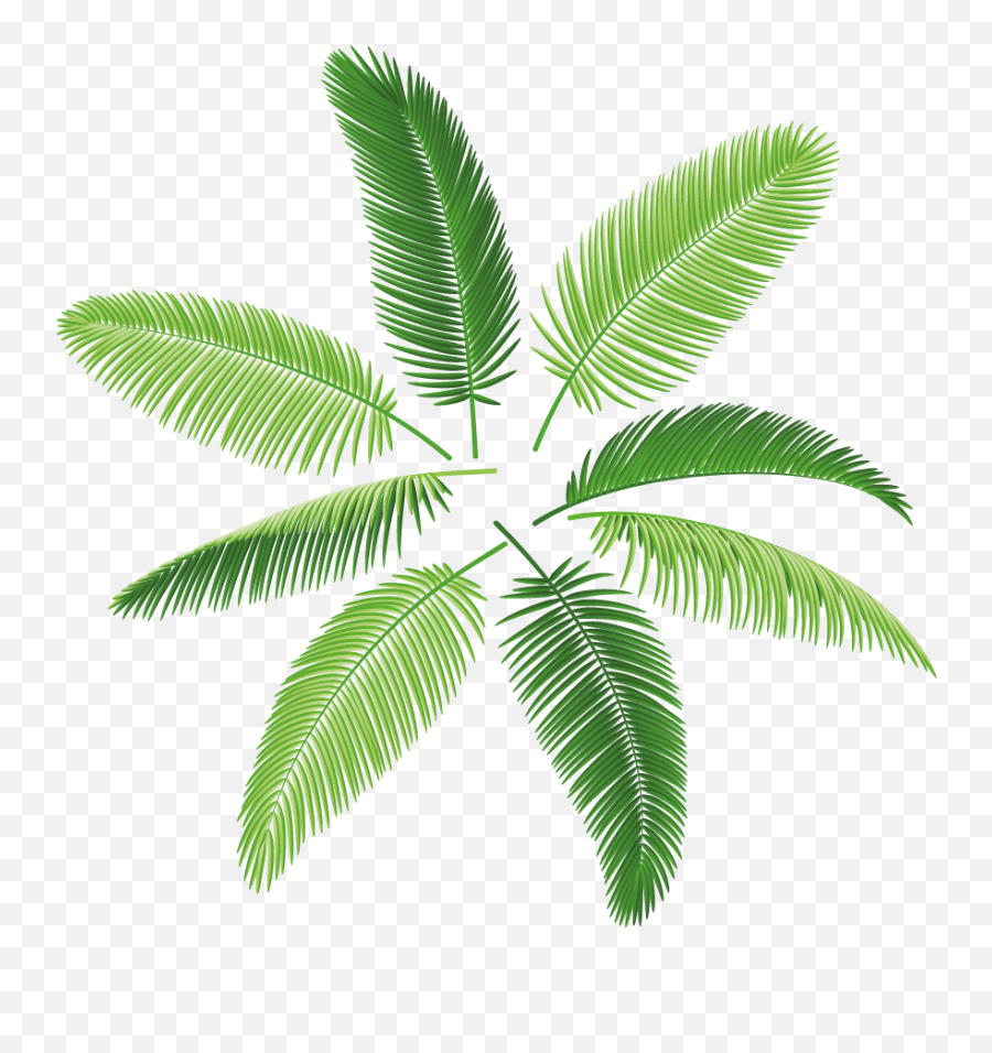 The Palm - Plant Print Png,Palm Tree Logo