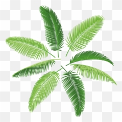 The Palm - Plant Print Png