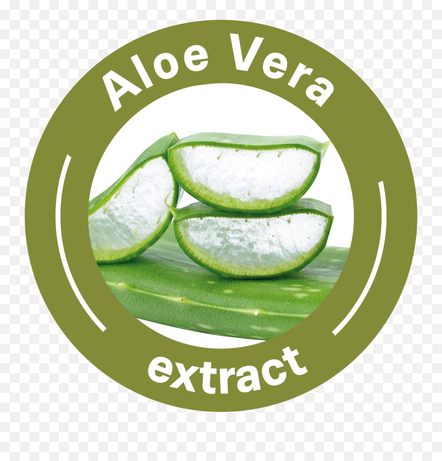 Download Aloe Vera Textile - Aloe Vera Extract Icon Png Oundle Town Fc,Vera Icon