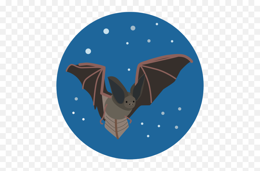 Bat Animal Wildlife Free Icon - Iconiconscom Ozark Bat Png,Wildlife Icon